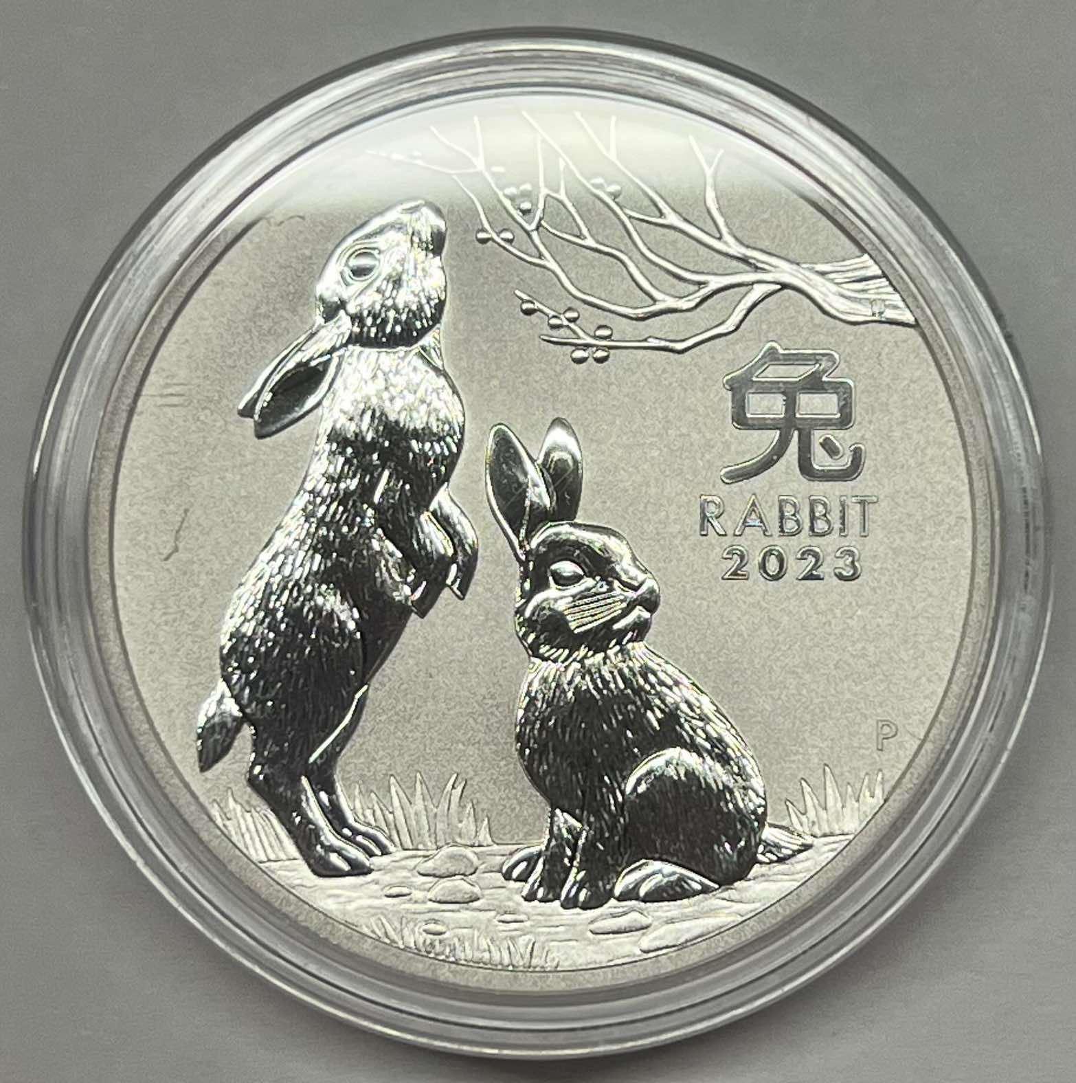 2023 Australia Lunar Rabbit 1 Oz Silver Coin Bu Series Iii In Capsul Goldex168 0993