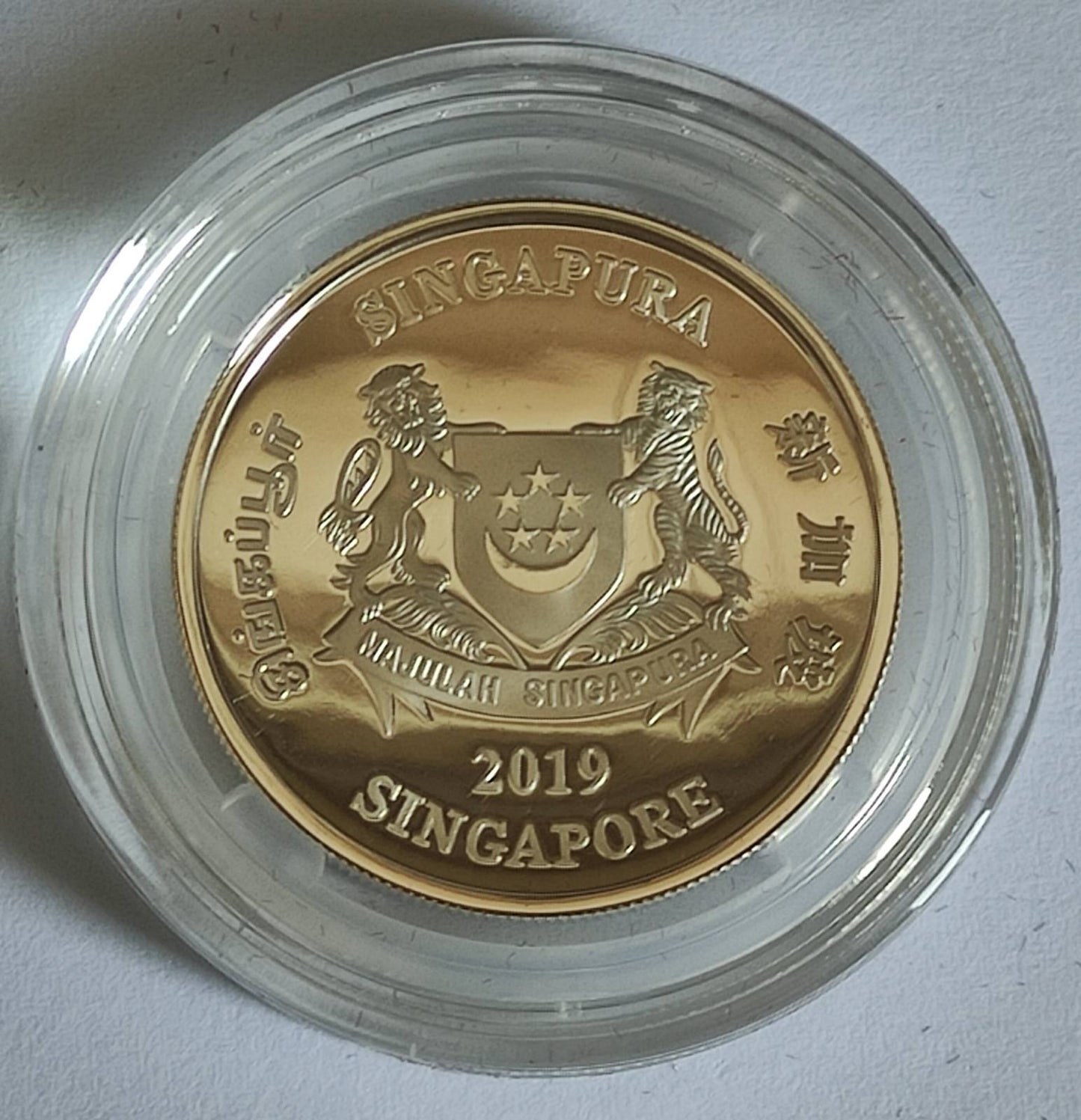 2019 Singapore Lunar Pig 1/4 oz Prooflike Silver Coin in Capsule with Case and COA