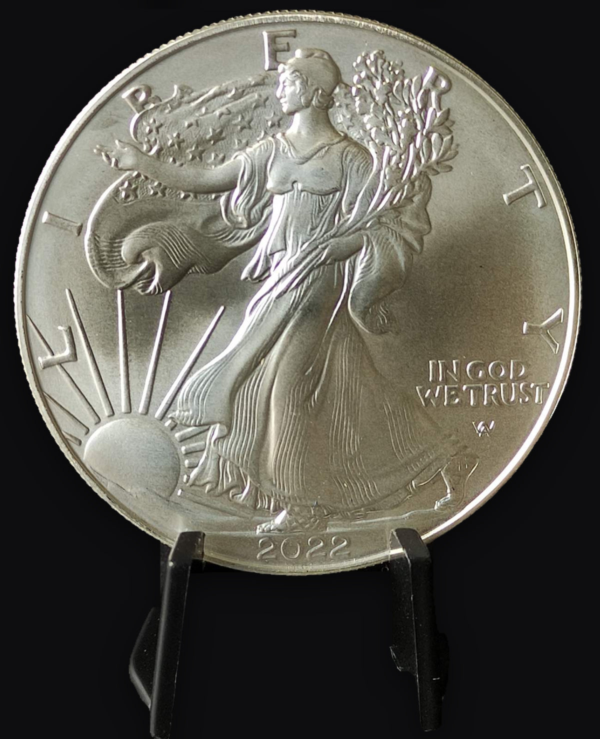 American Silver Eagle 1 oz Silver Coin BU (Random Year) in Capsule