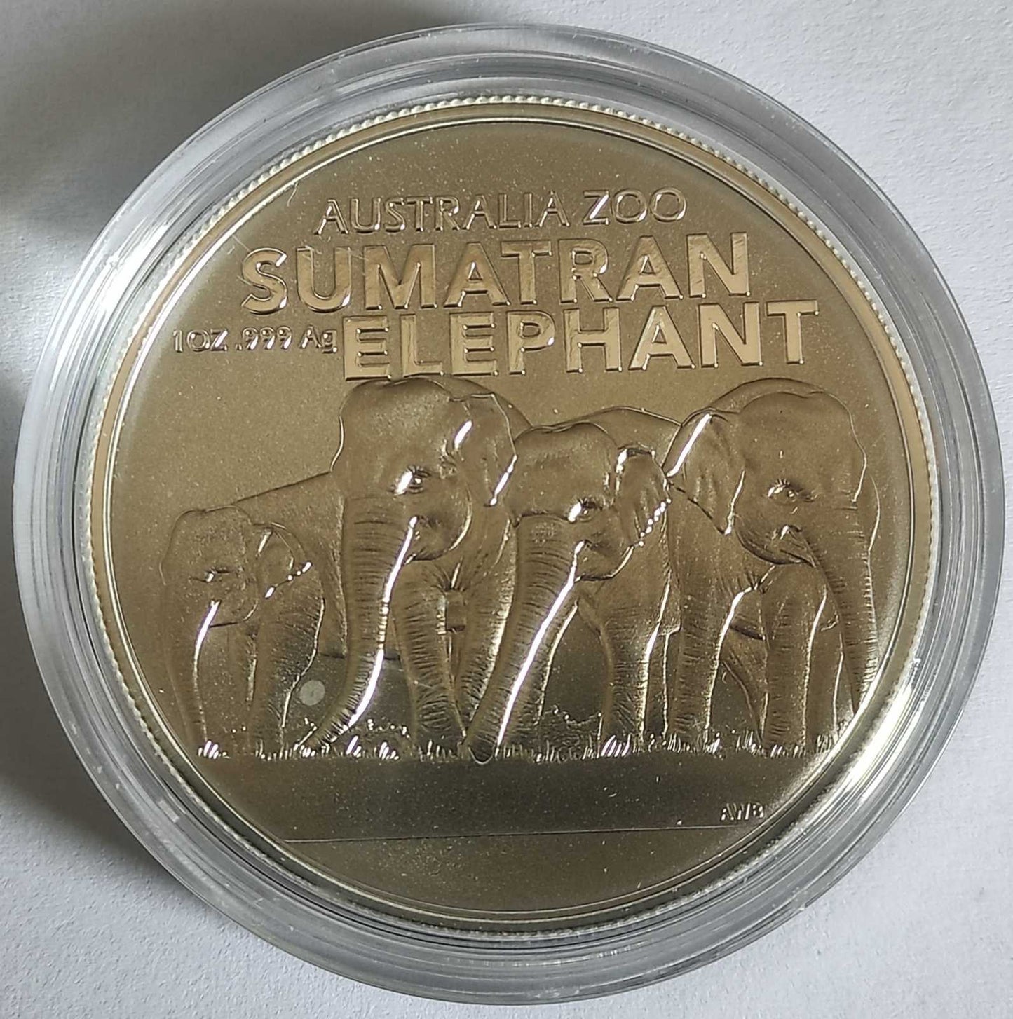 2022 Australia Australian Zoo: Sumatran Elephant 1 oz Silver Coin BU in Capsule